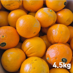 고당도 못난이 오렌지 4.5kg (20~25)